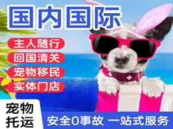 深圳机场快递国际宠物托运 【国